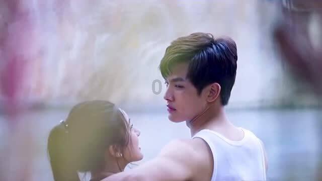 救援达尔马提亚狗